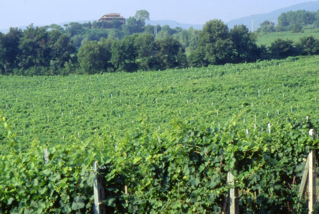 Palazzo Bandino - Wine Cellar, On Reservation Restaurant And Séjour à la ferme