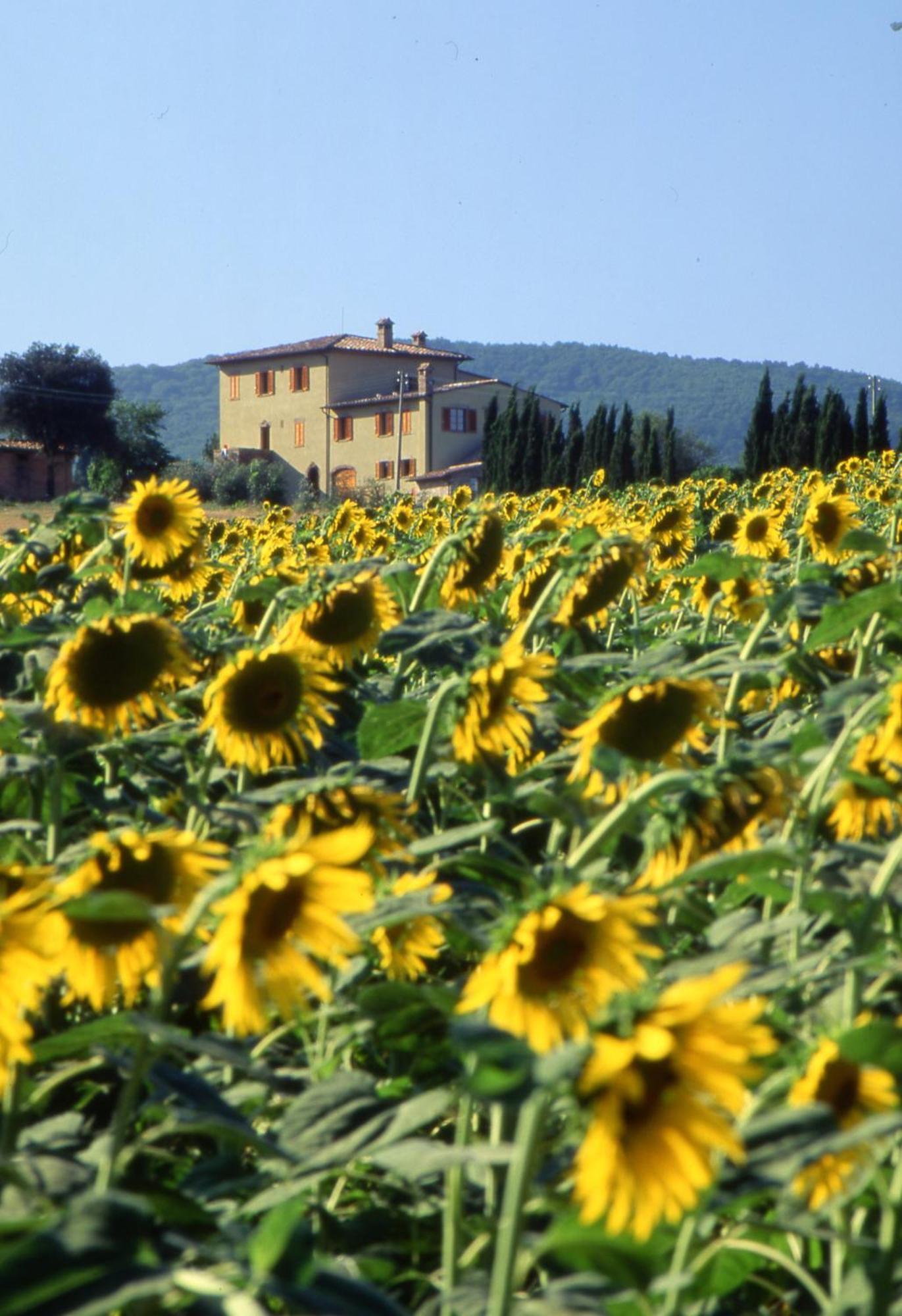 Alojamento de Turismo Rural Palazzo Bandino - Wine Cellar, On Reservation Restaurant And *